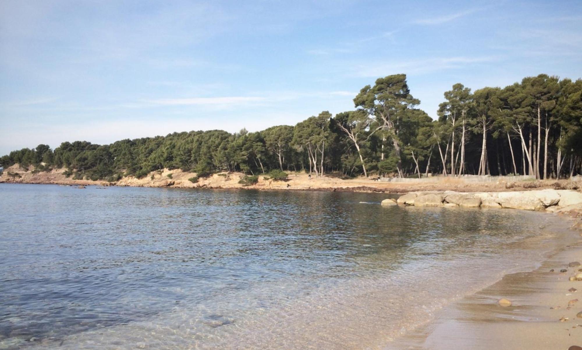 Maison Provencale La Seyne-sur-Mer Dış mekan fotoğraf